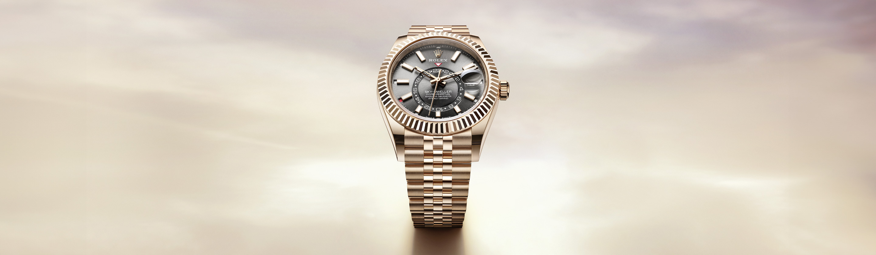 rolex top banner-Rolex Sky-Dweller