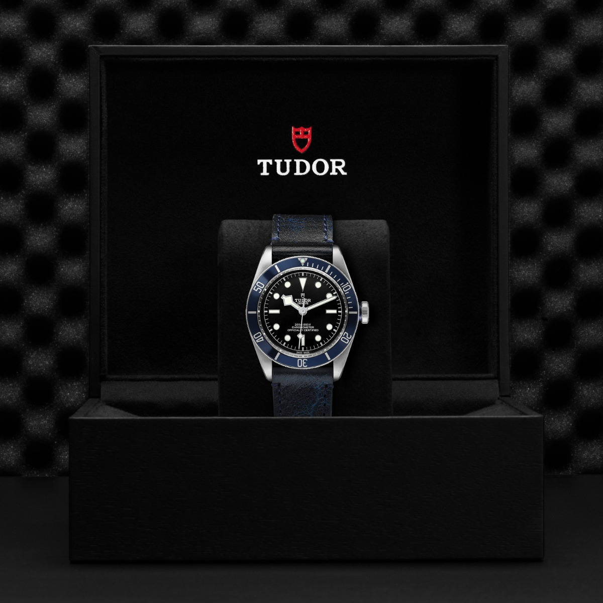 TUDOR Black Bay 41mm Steel