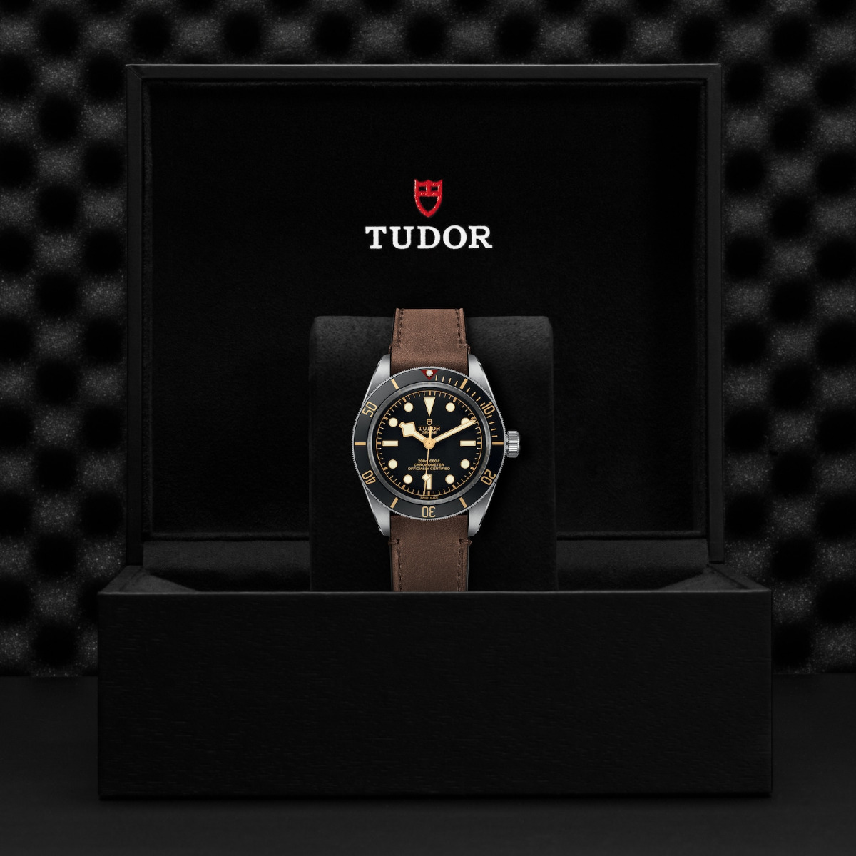 TUDOR Black Bay Fifty-Eight 39mm Steel