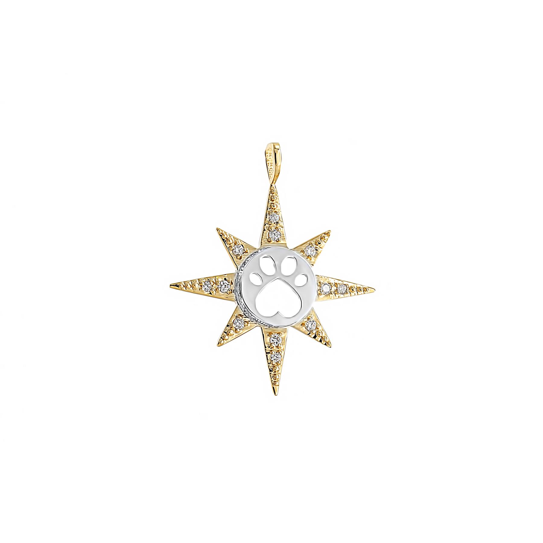 Our Cause for Paws 14k Yellow Gold and Sterling Silver Diamond Star Charm