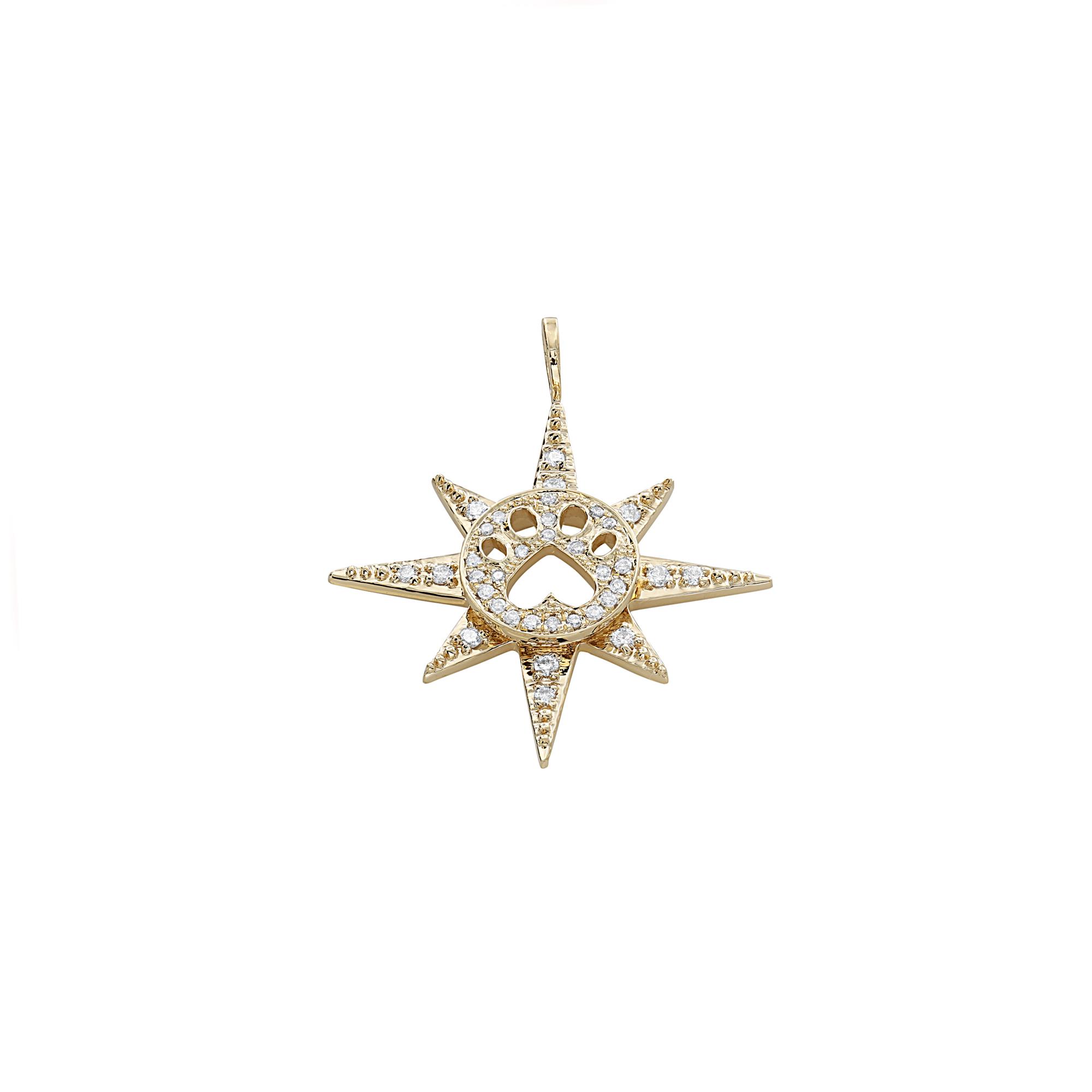 Our Cause for Paws 14k Yellow Gold All Diamond Star Charm