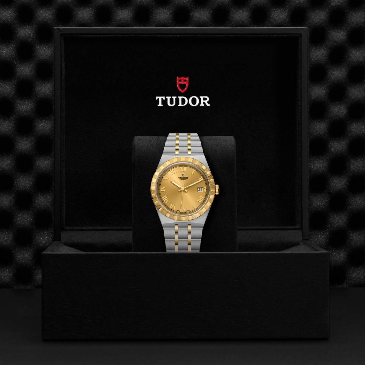 TUDOR Royal Champagne Roman Dial 38mm