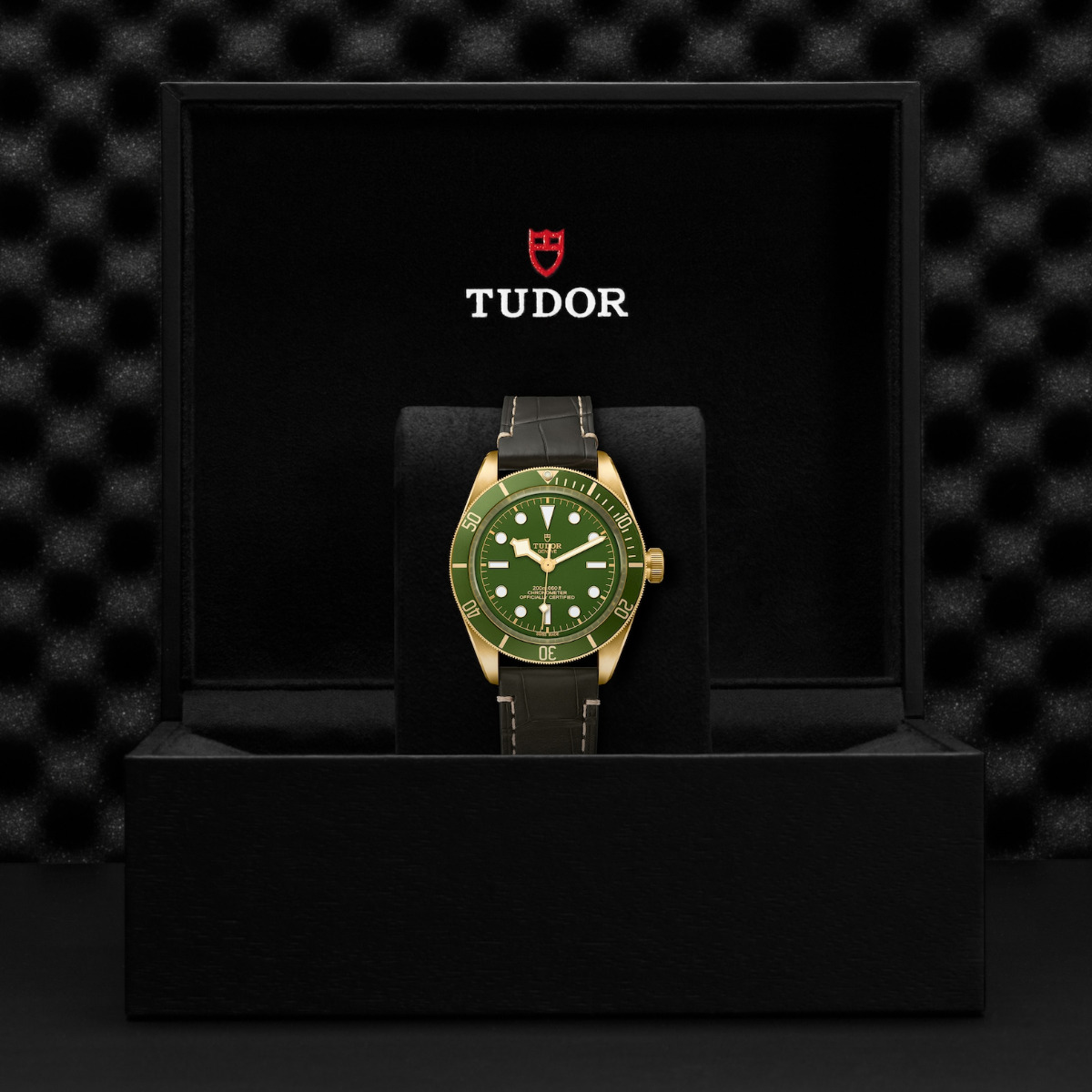 TUDOR Black Bay 58 18k