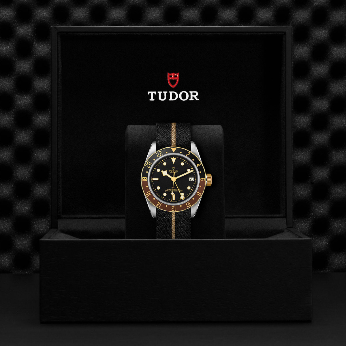 TUDOR Black Bay GMT S&G Beige Band