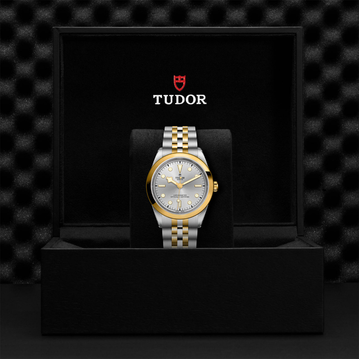 TUDOR Black Bay 41 S&G Two Tone