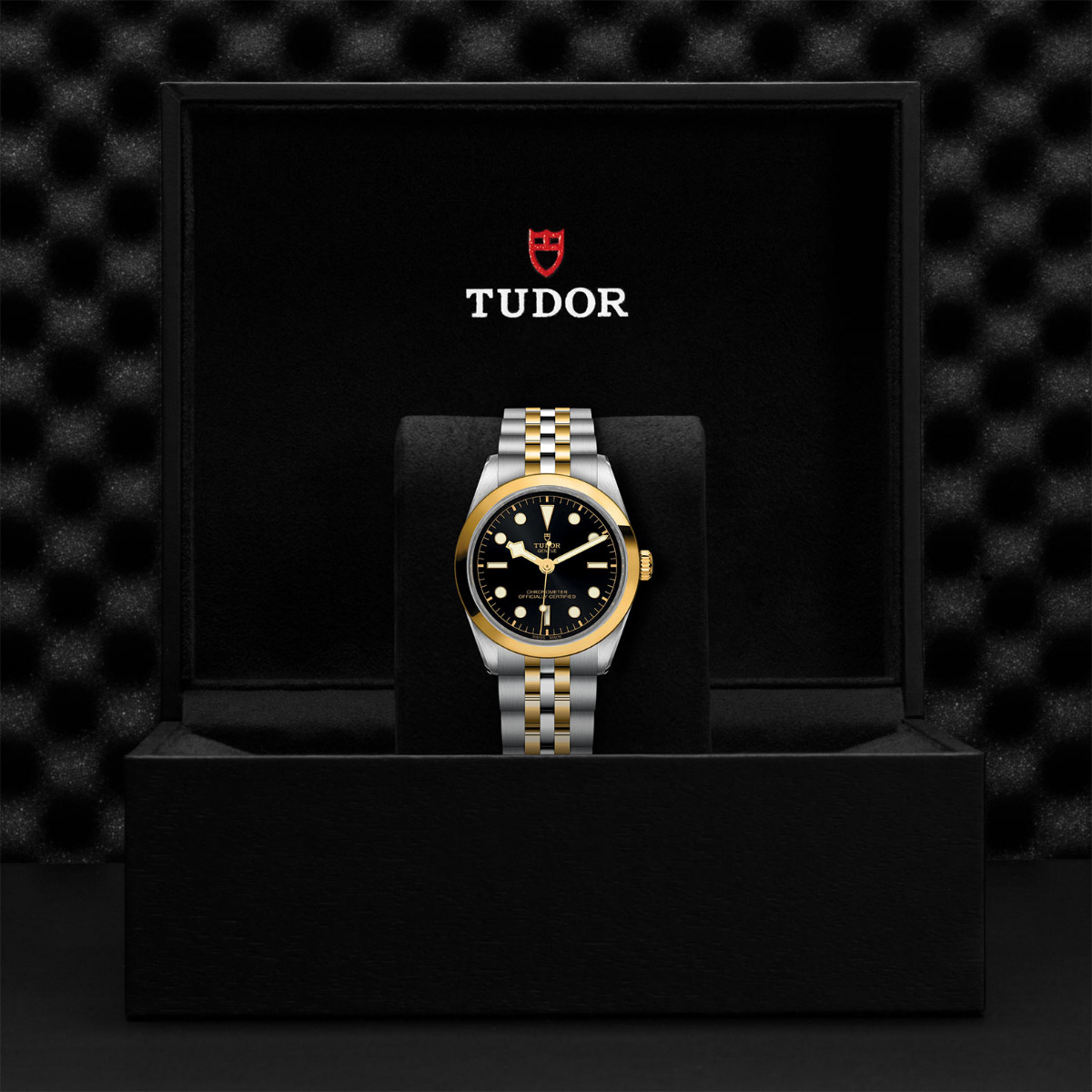 TUDOR Black Bay 36 S&G Black Dial