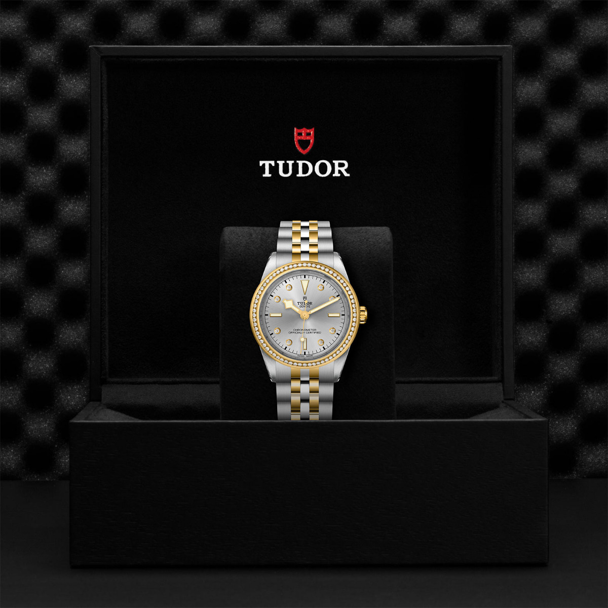 TUDOR Black Bay 39 S&G