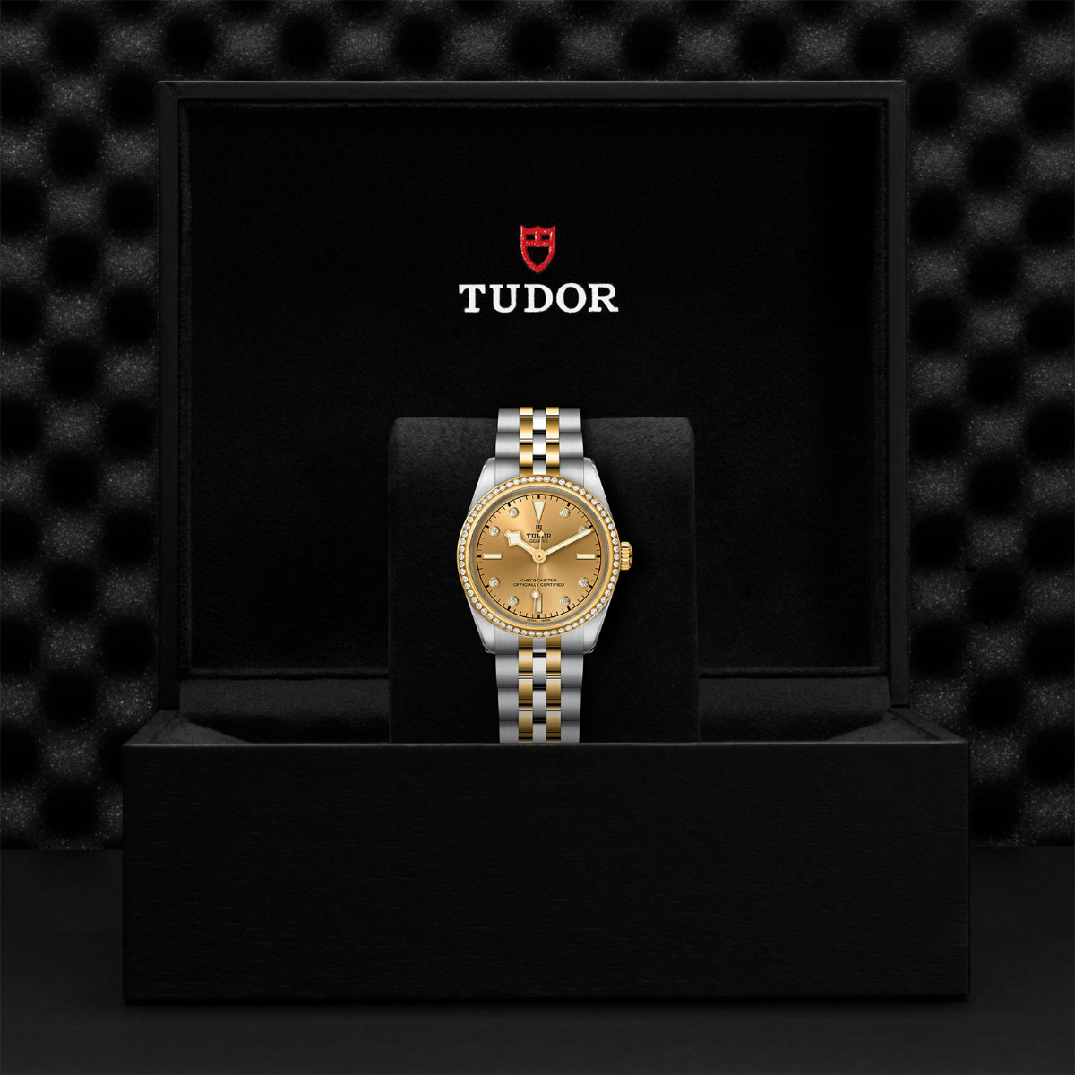 TUDOR Black Bay 31 S&G