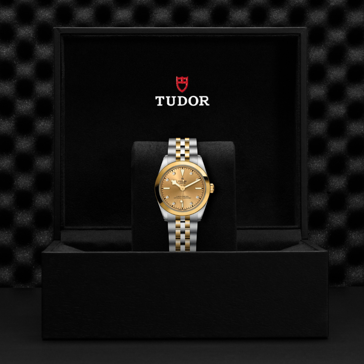 TUDOR Black Bay 31 S&G Champagne Diamond Dial