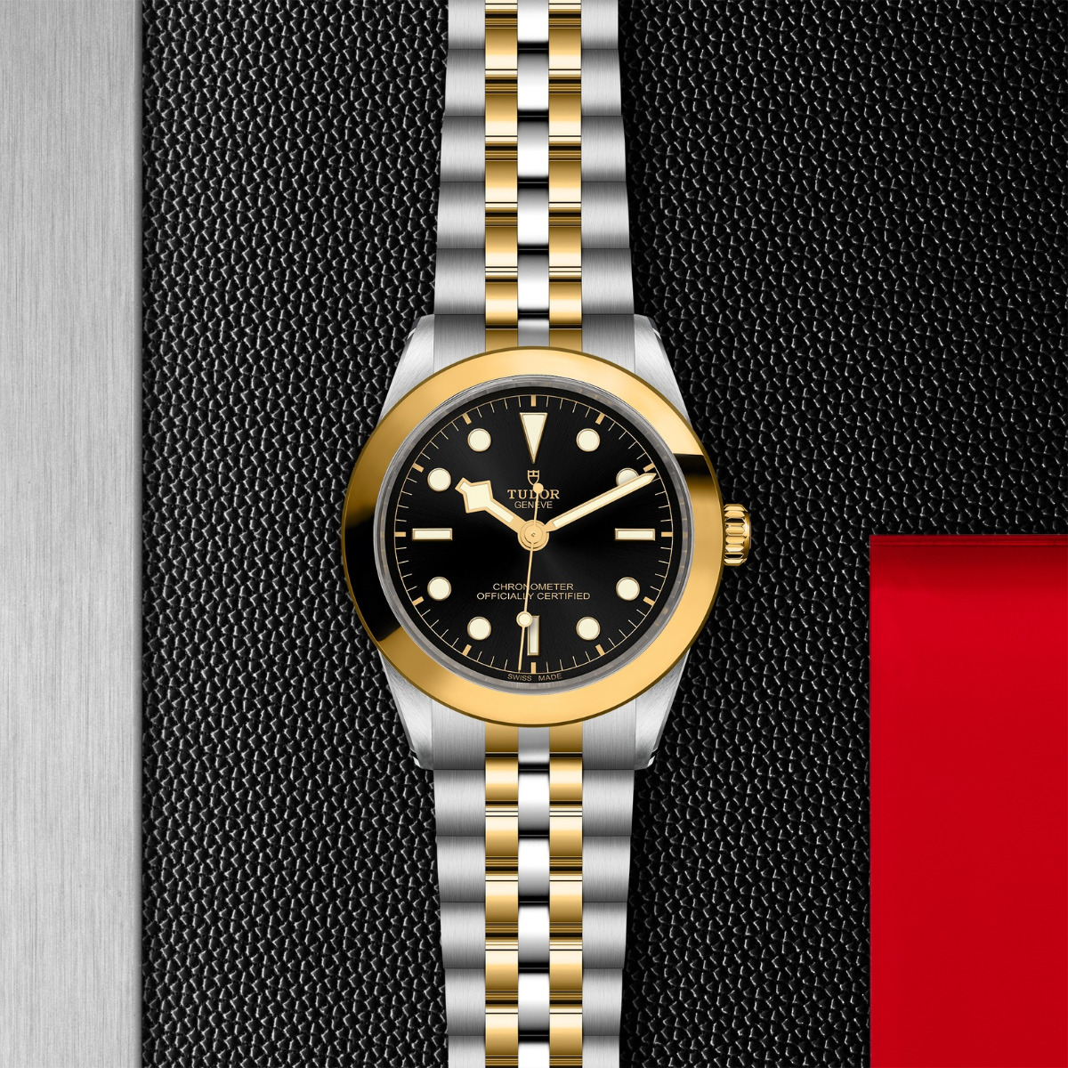 TUDOR Black Bay 39 S&G