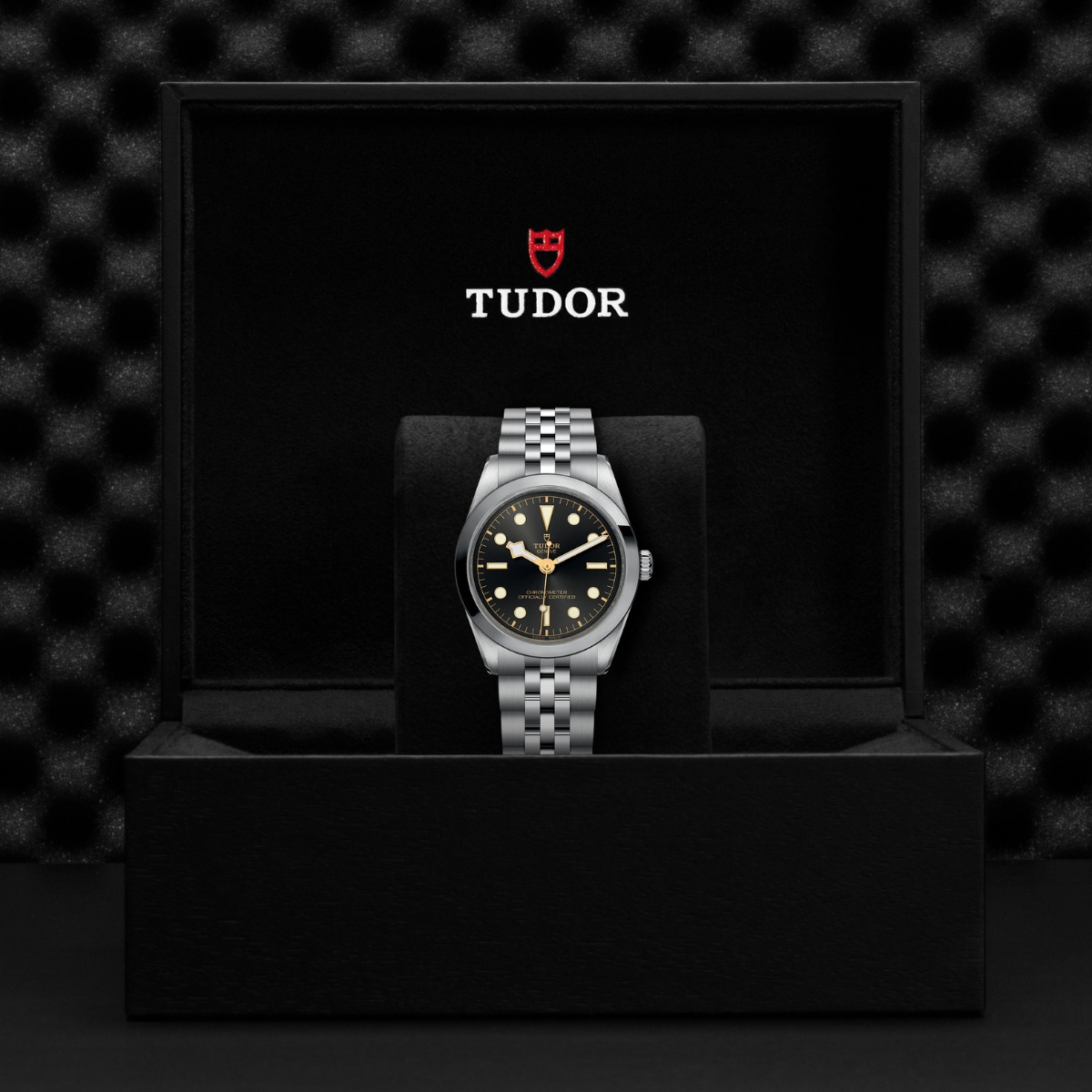 TUDOR Black Bay 36 Black Dial