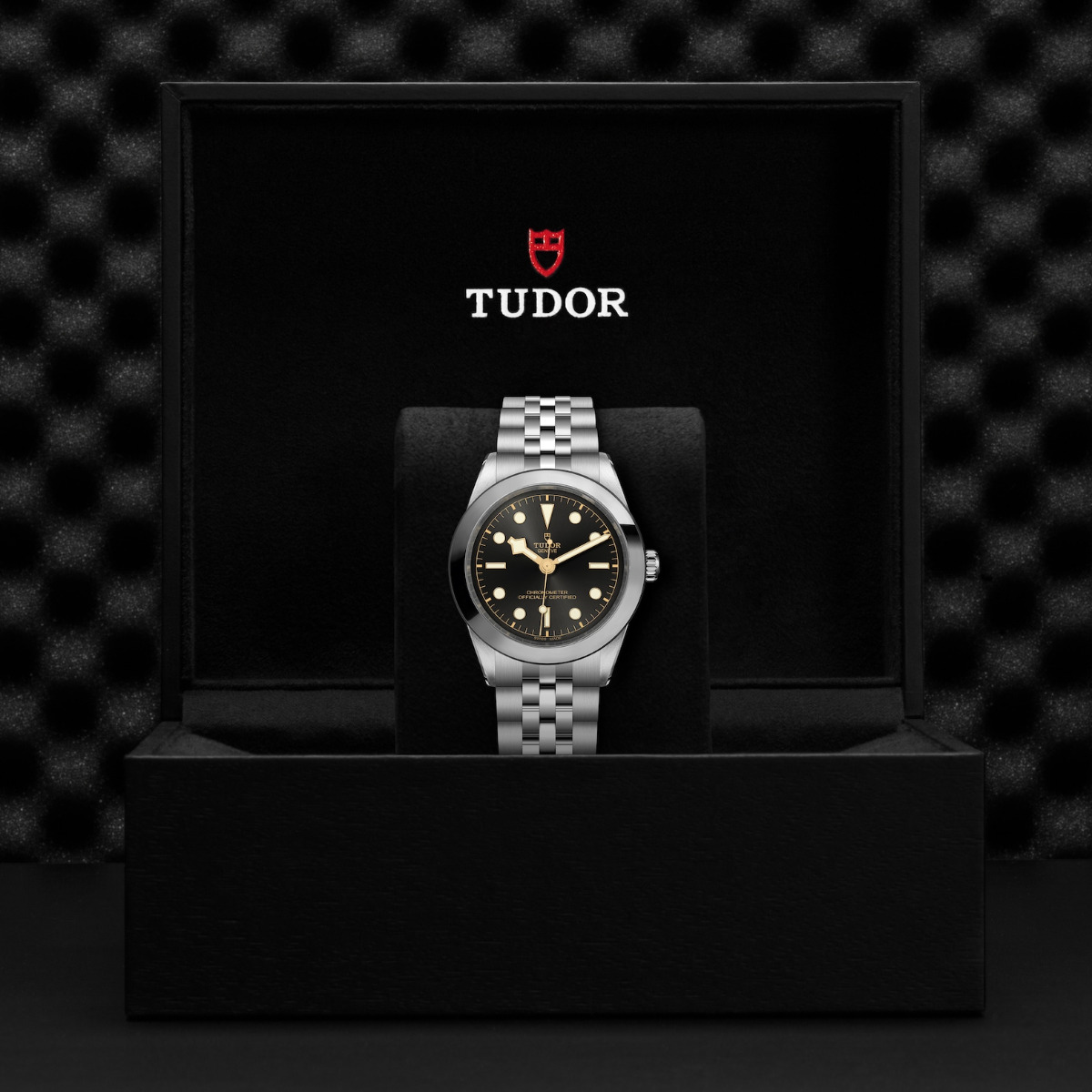 TUDOR Black Bay 39 Black Dial