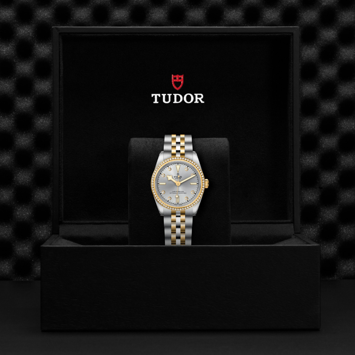 TUDOR Black bay 31 S&G Diamond Bezel