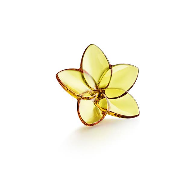 Baccarat Bloom Collection Flower Amber