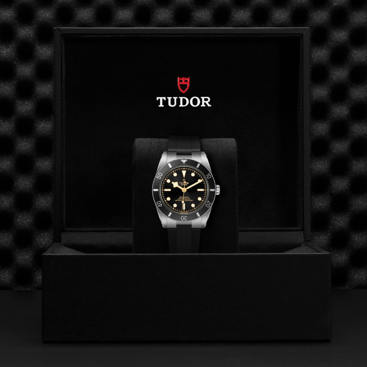 TUDOR Black Bay 54 Rubber Strap