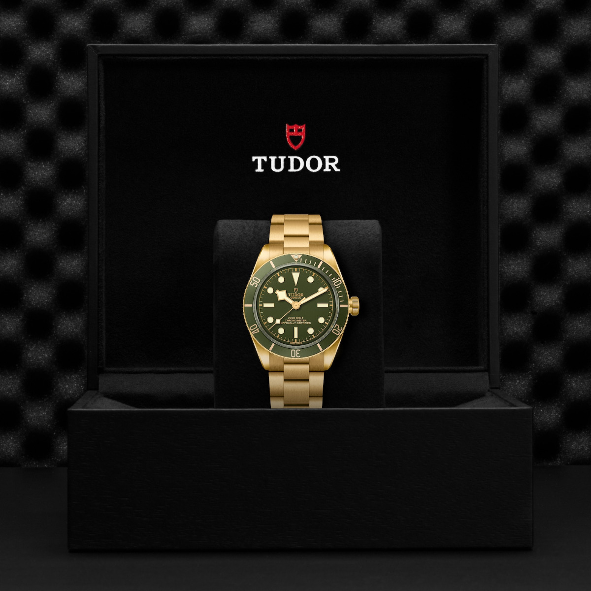 TUDOR Black Bay 58 18k Yellow Gold