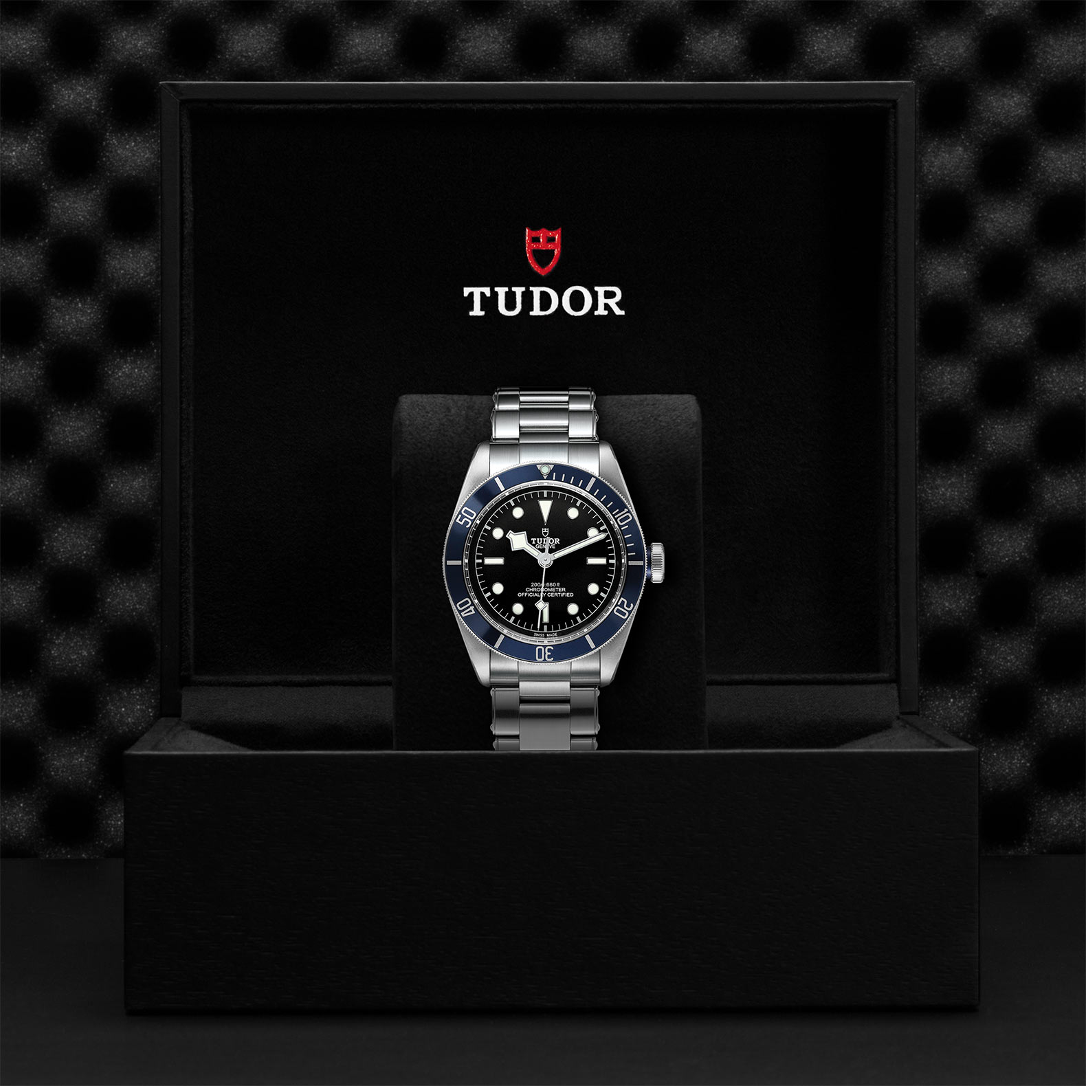 TUDOR Black Bay 41mm Steel