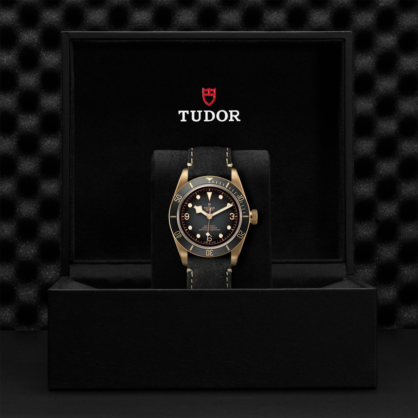 TUDOR Black Bay Bronze 43mm