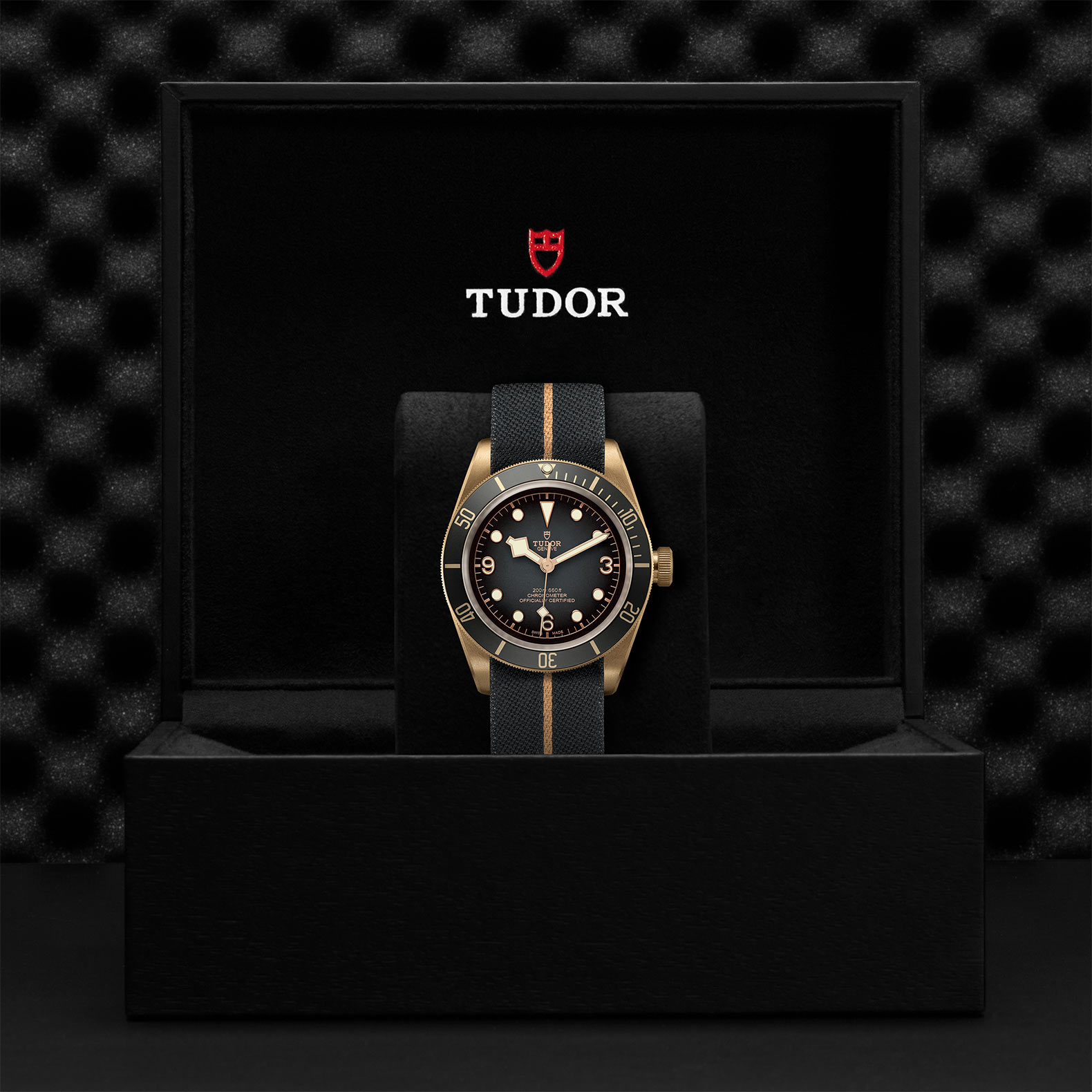 TUDOR Black Bay Bronze 43mm