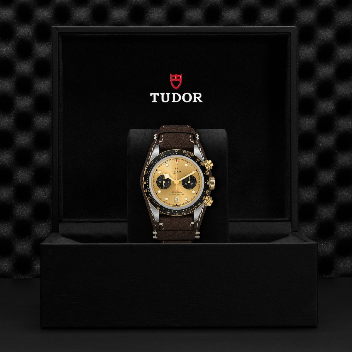 TUDOR Black Bay Chrono S & G Brown