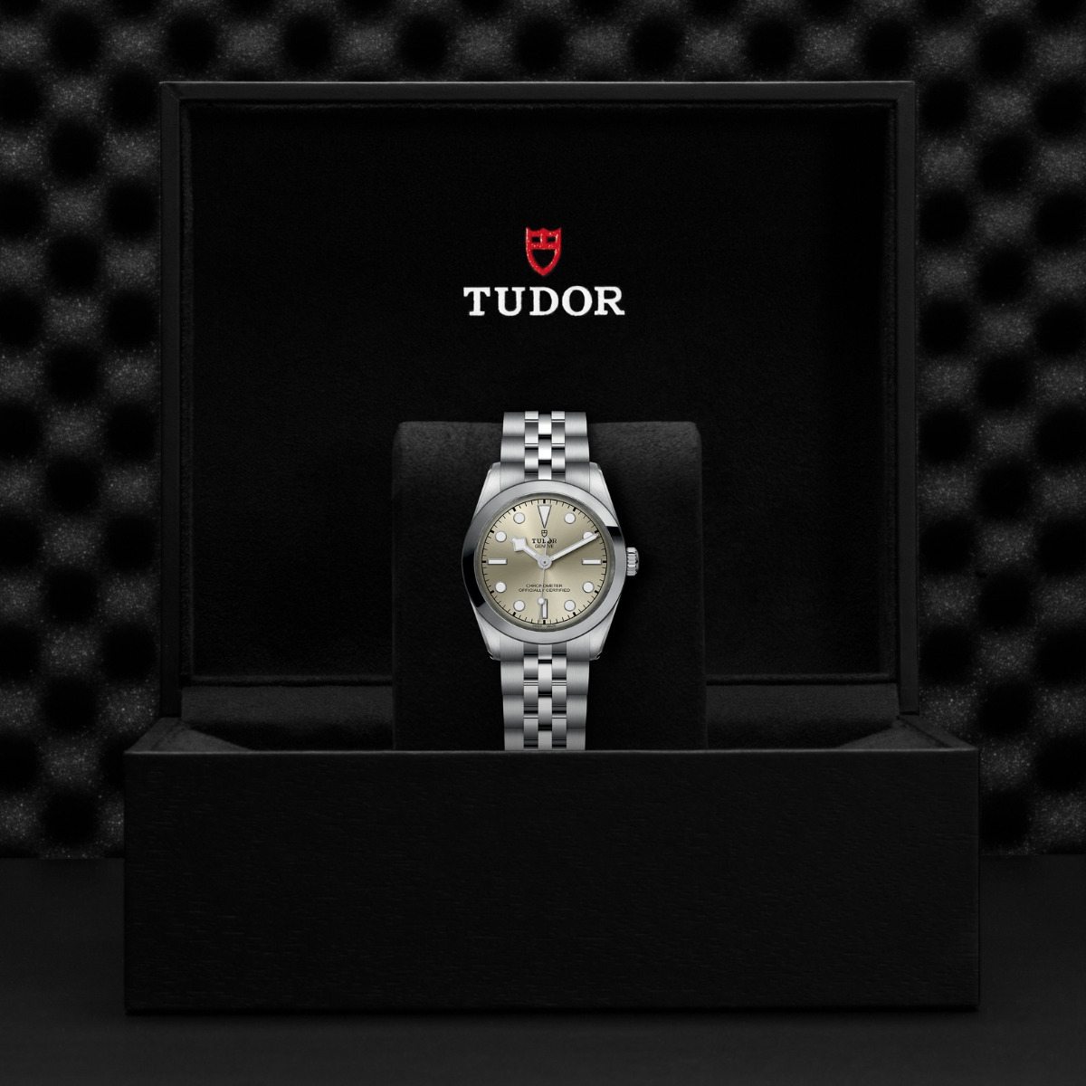 TUDOR Black Bay 31 Champagne Dial