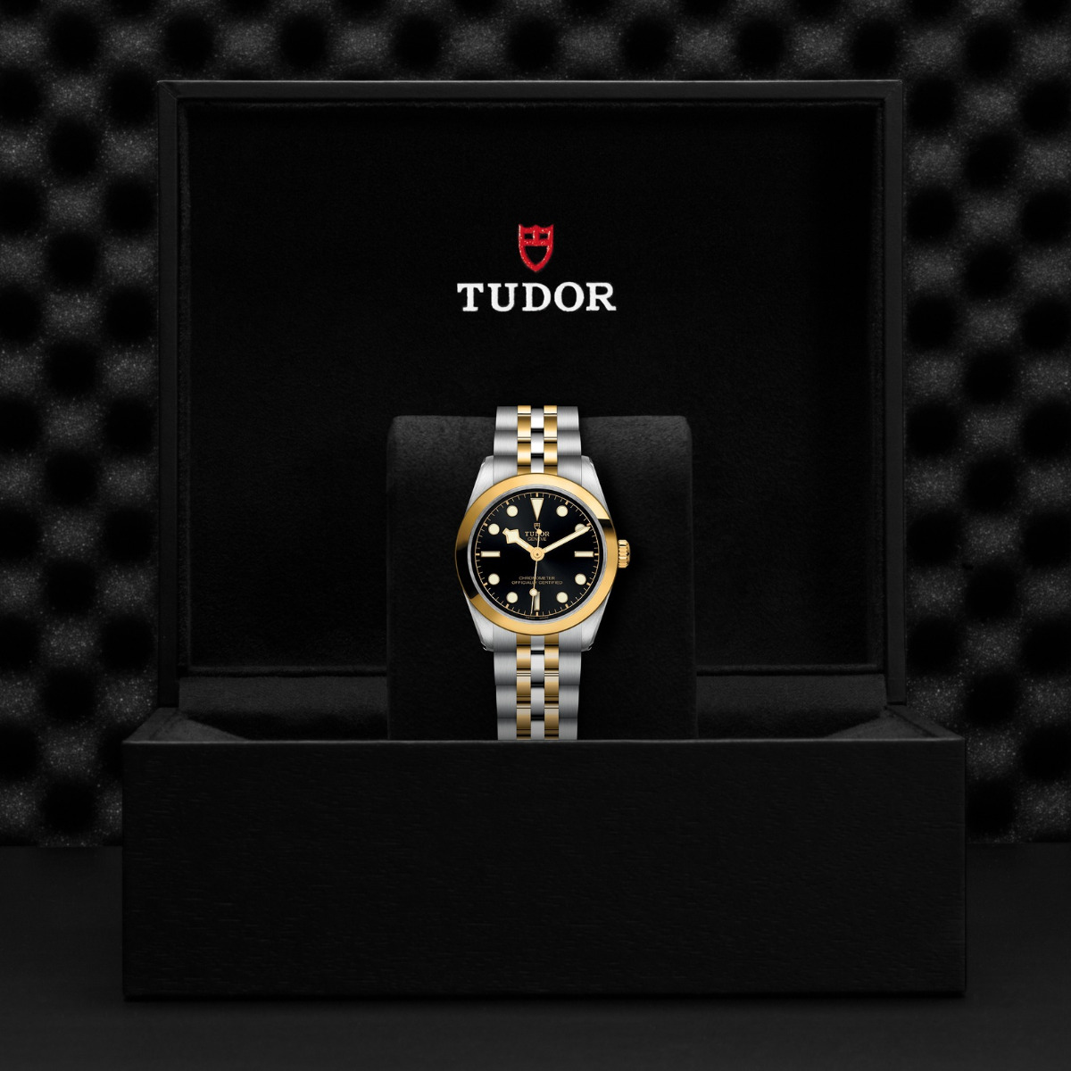 TUDOR Black Bay 31 S&G Black Dial