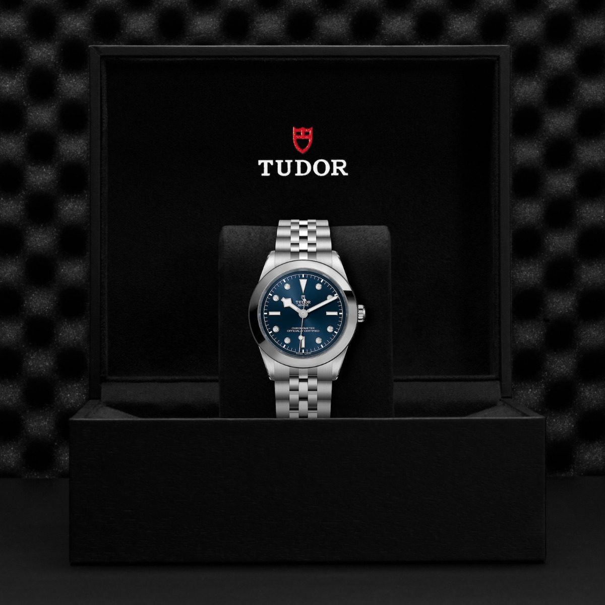 TUDOR Black Bay 39 Diamond Dial