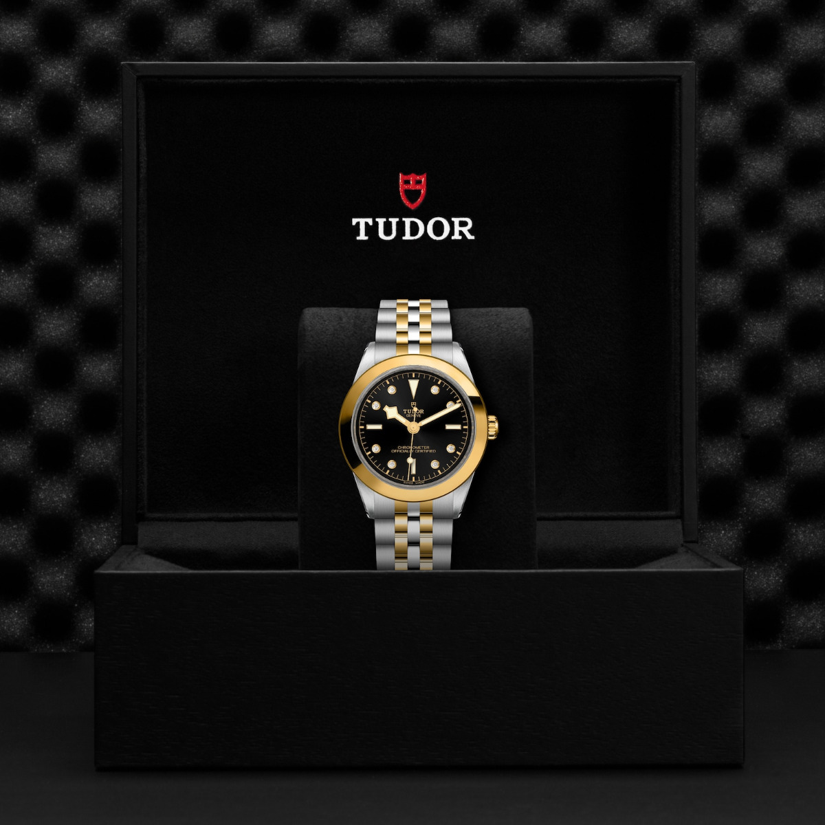 TUDOR Black Bay 39 S&G Black Diamond Dial