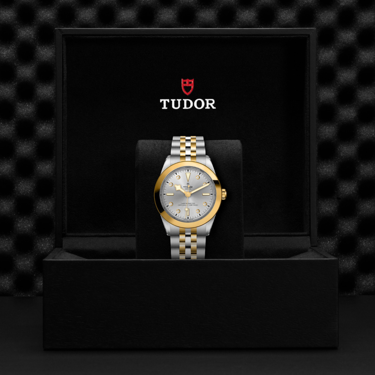 TUDOR Black Bay 39 S&G Silver Diamond Dial