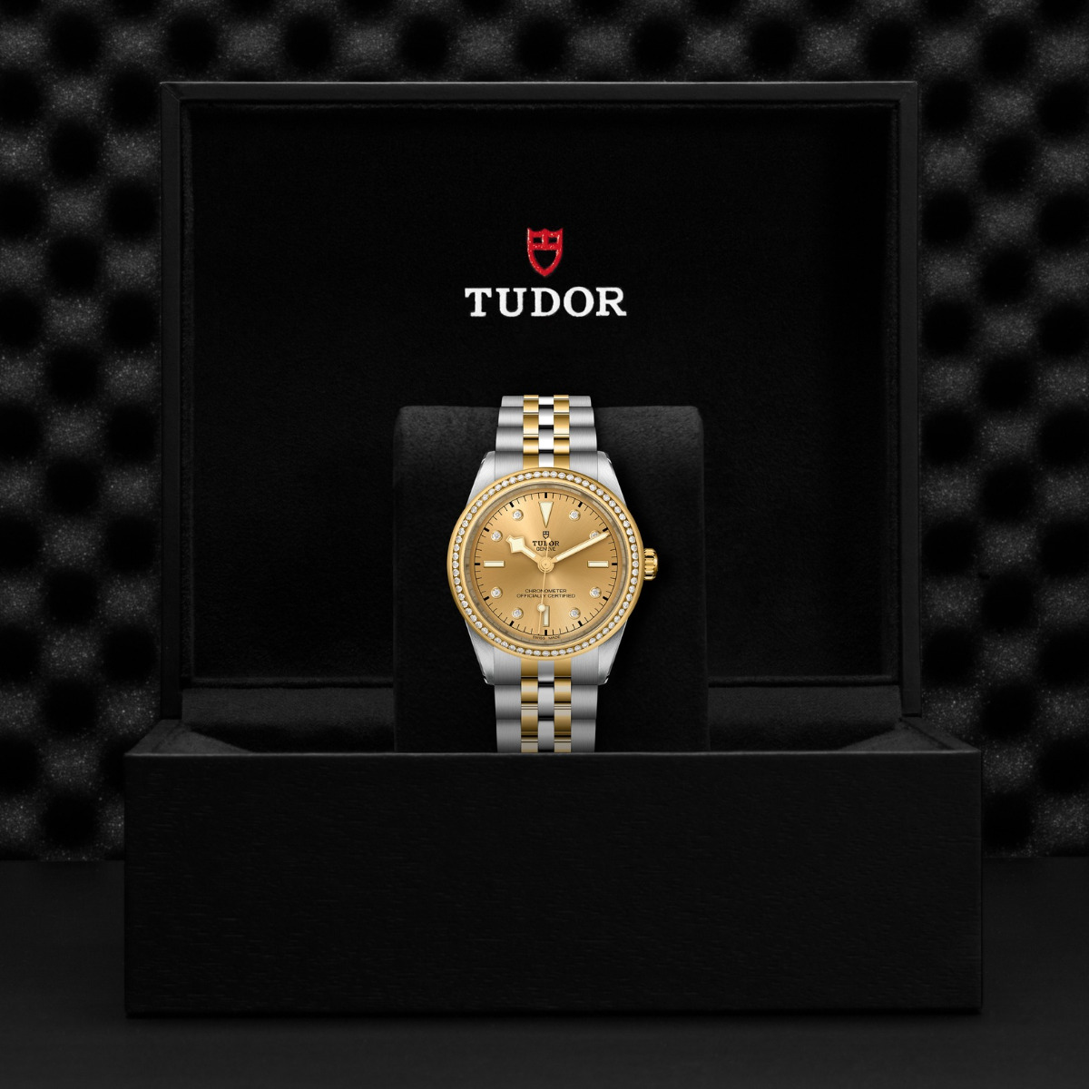 TUDOR Black Bay 39 S&G Diamond Bezel