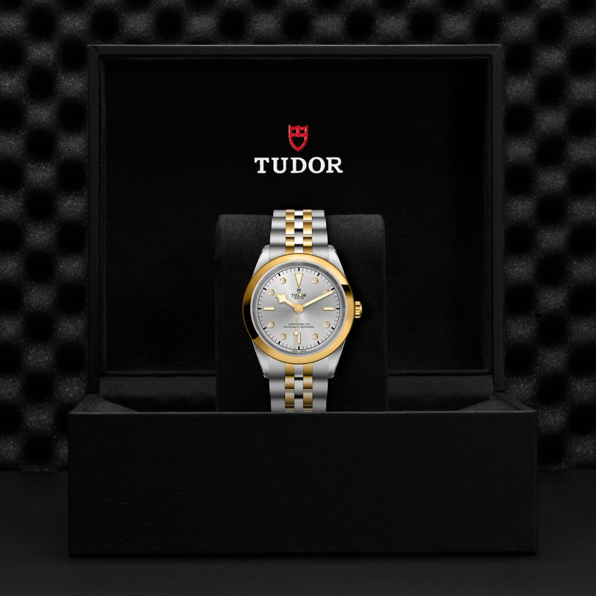 TUDOR Black Bay 41 S&G Diamond Dial