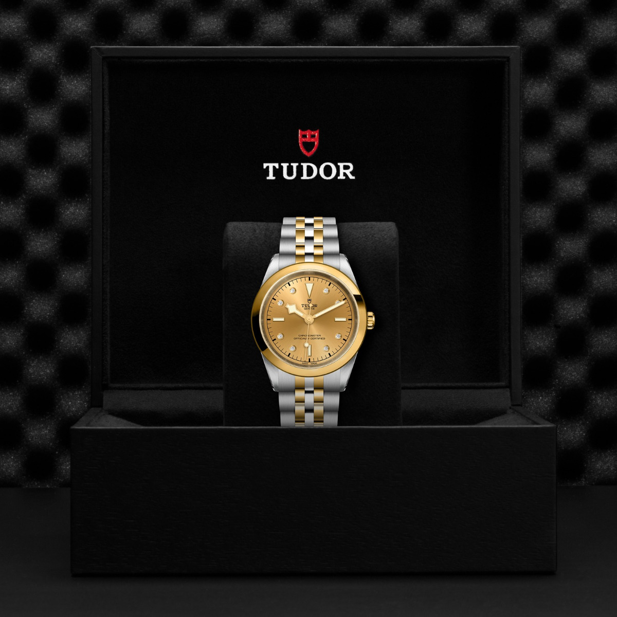 TUDOR Black Bay 41 S&G Champagne Diamond Dial