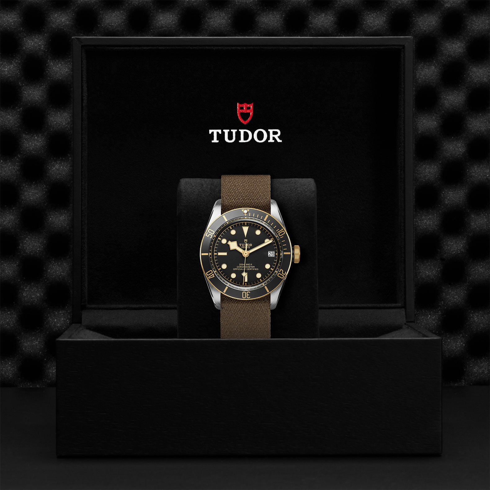 TUDOR Black Bay S&G 41mm Steel and Gold