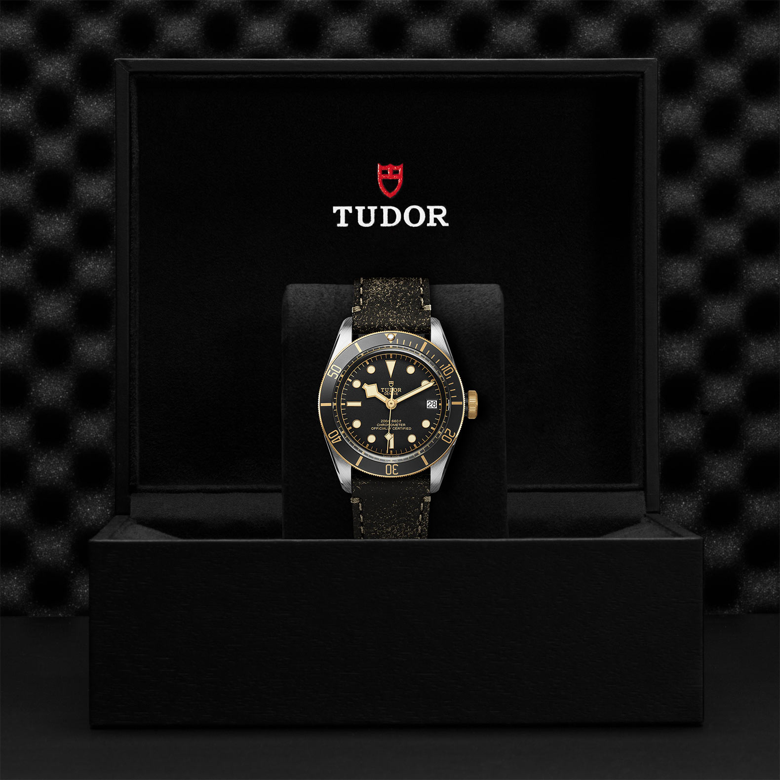 TUDOR Black Bay S&G 41mm Steel and Gold