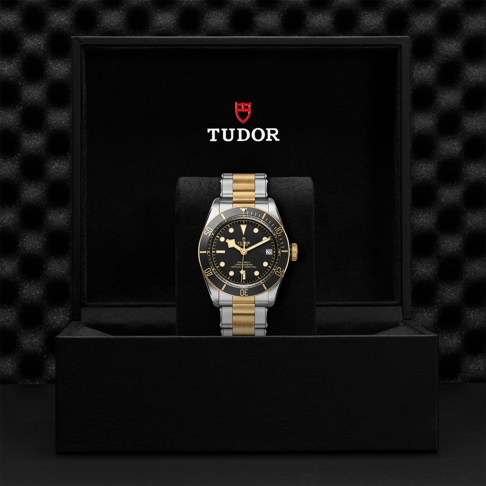 TUDOR Black Bay S&G 41mm Steel and Gold